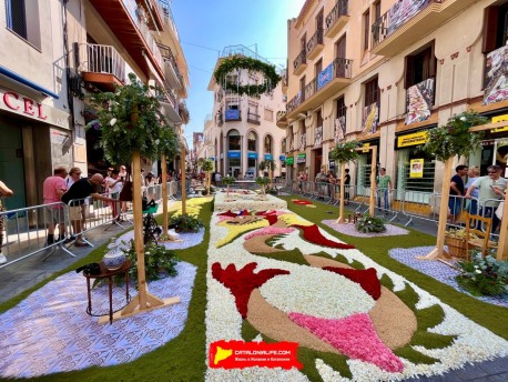 Фотоотчёт: Ковры из цветов в Ситжесе, 2025 / Catifes de flors de Sitges, 2025