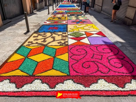 Фотоотчёт: Ковры из цветов в Бланесе, 2025 / Catifes de flors de Blanes, 2025