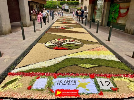 Фотоотчёт: Ковры из цветов в городе Арбусиес, 2025 / Catifes de flors naturals a Arbúcies, 2025 #2
