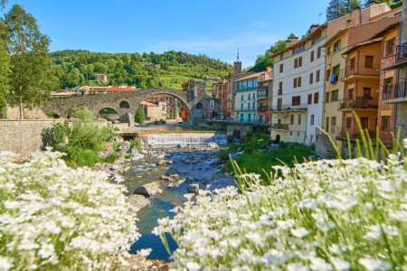 Фестиваль печенья Fira de la Galeta в Кампродоне (Каталония)