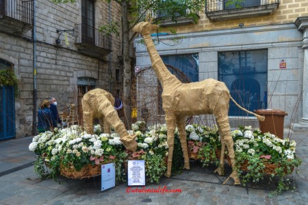 Погружение в мир цветов на фестивале "Girona, Temps de Flors", 2023