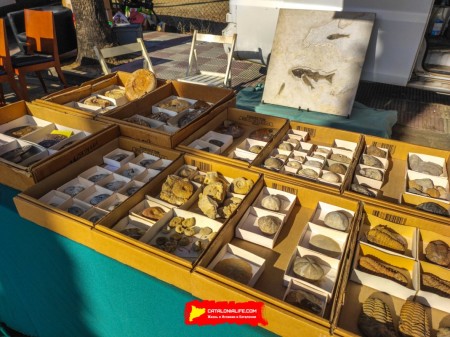 Ярмарка Святого Антония в Англесе — традиция поколений - 15-18 января 2026