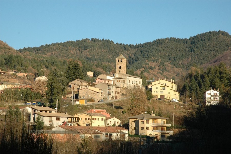 Рождественская ярмарка Fira de l’Avet 2025 в Эспинельвесе, сердце ёлочного Рождества Каталонии -  6–14 декабря 2025