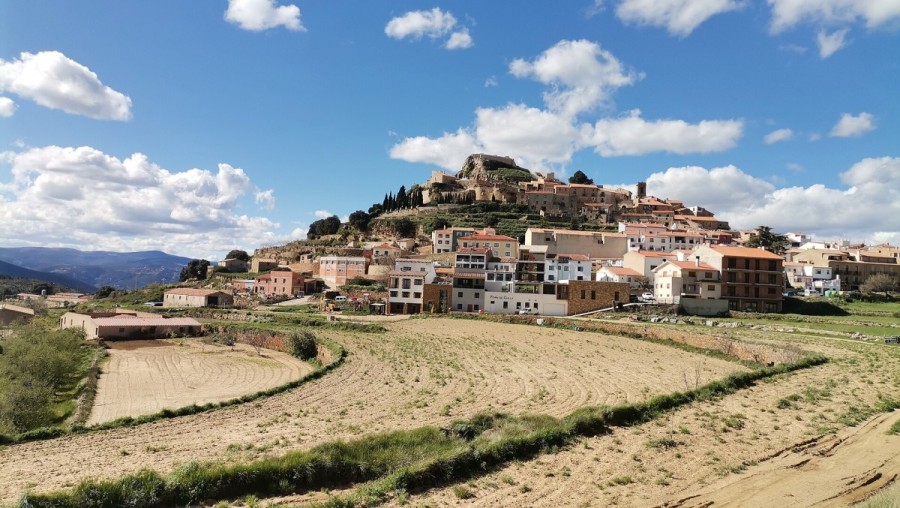 VI ярмарка трюфеля и продуктов Маэстрата в Кулье (Кастельон, Валенсия)