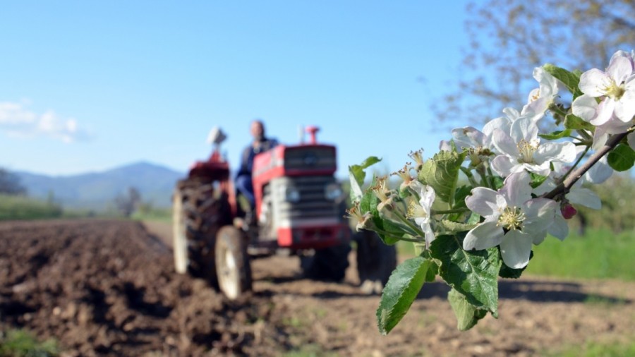 XIX Ярмарка ретро-техники, мотоциклов и антикварных автомобилей  в Сагасе – 30 ноября 2025