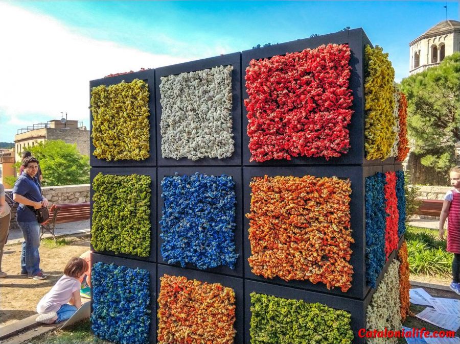 Фестиваль цветов в Жироне,Temps de Flors