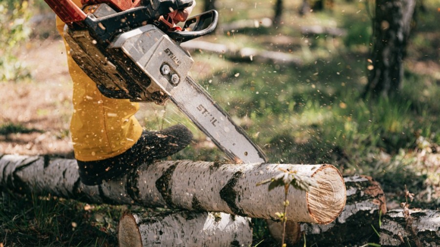 XIX Ярмарка ретро-техники, мотоциклов и антикварных автомобилей  в Сагасе – 30 ноября 2025