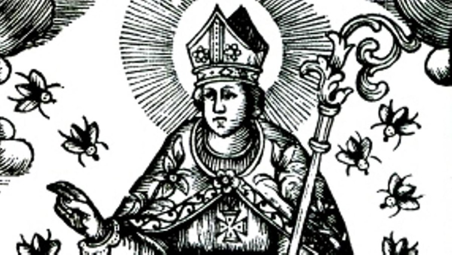 Сант Нарцис (Sant Narcís) — это не просто праздник в честь святого Нарциса, покровителя города Жирона, он — часть души этого города и его жителей.
