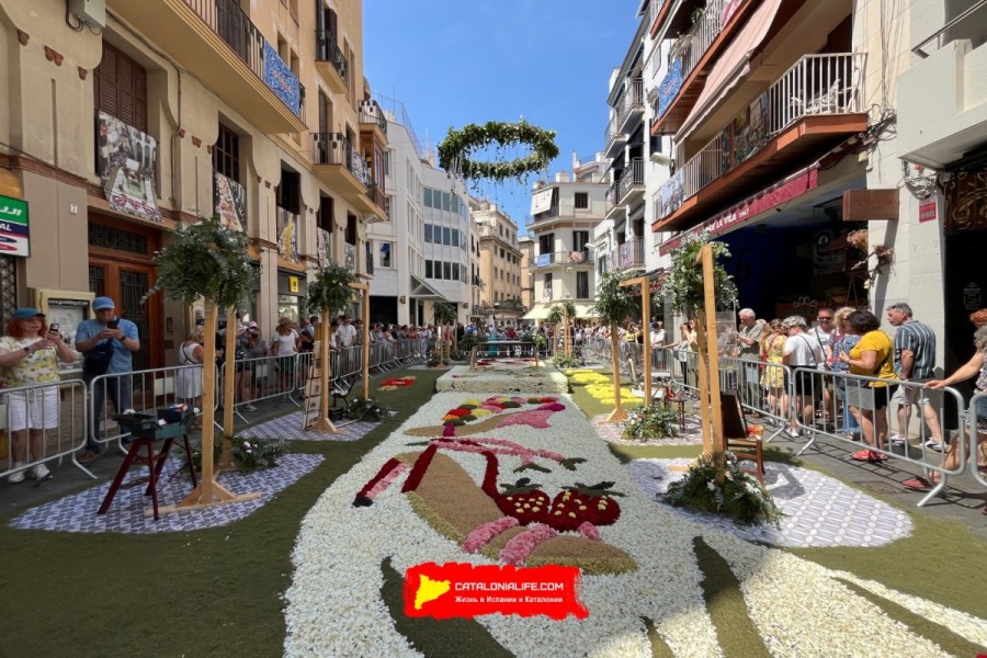Corpus de Sitges 2026: ковры из цветов, 370 000 гвоздик и один из самых красивых праздников Каталонии