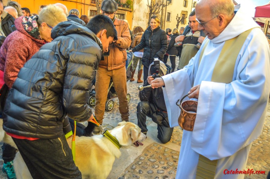 Фестиваль Сан Антонио в Англесе 2023, Fira de Sant Antoni d'Anglès 2023