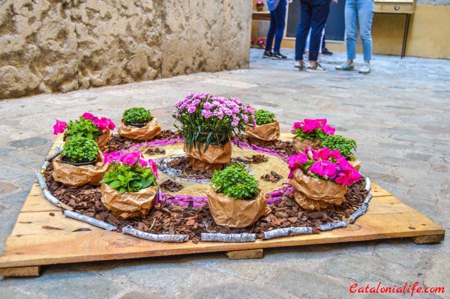 65-ый фестиваль цветов Temps de Flors в этом году был отменен