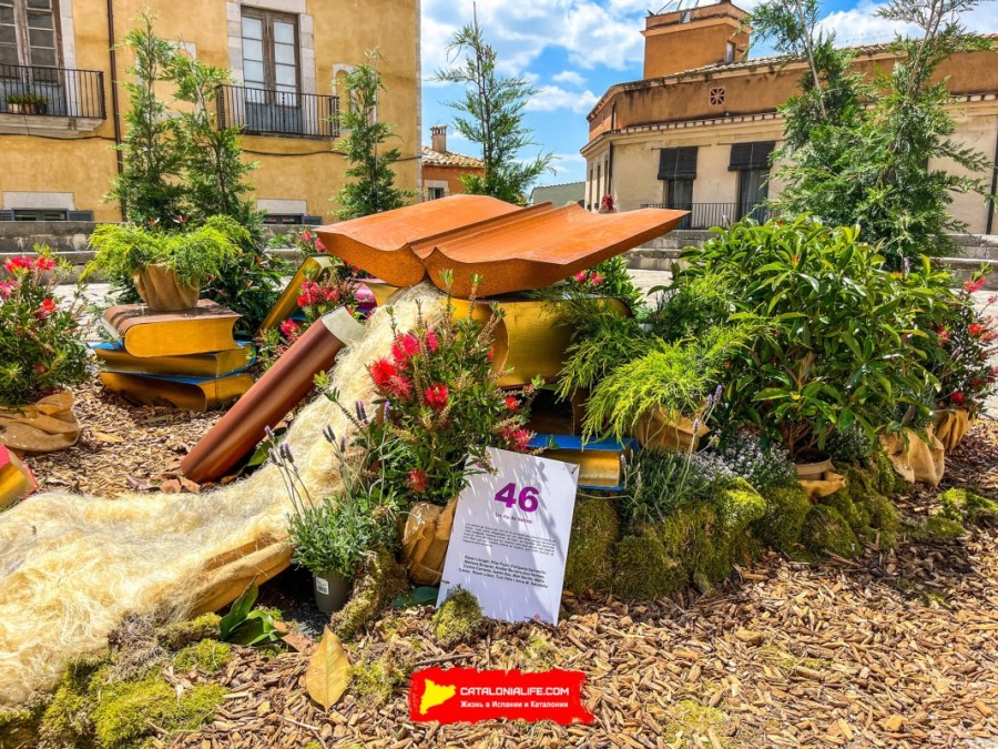 71-я выставка Girona, Temps de Flors 2026 в Жироне: цветы, дворики, маршруты и полная программа