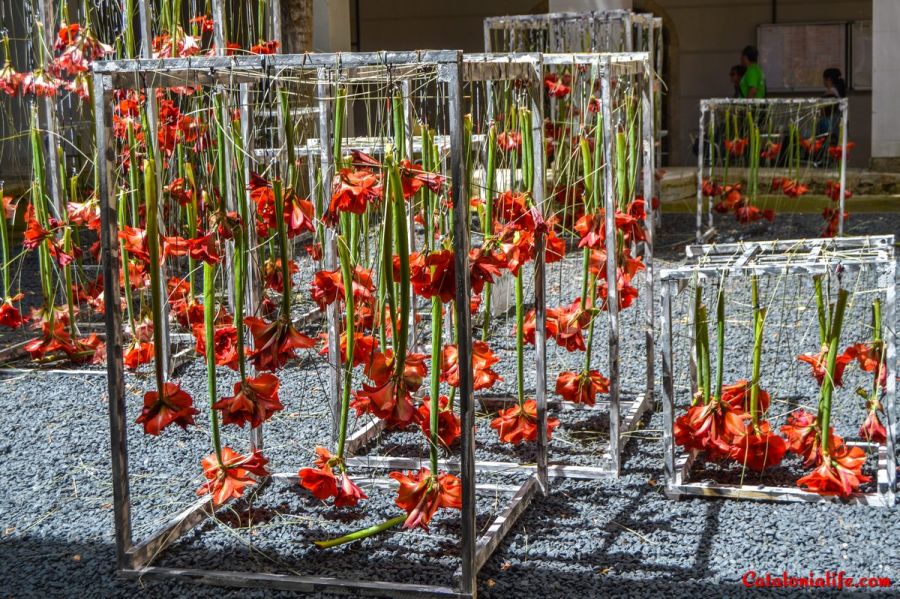 Фестиваль цветов в Жироне "Temps de Flors 2018"