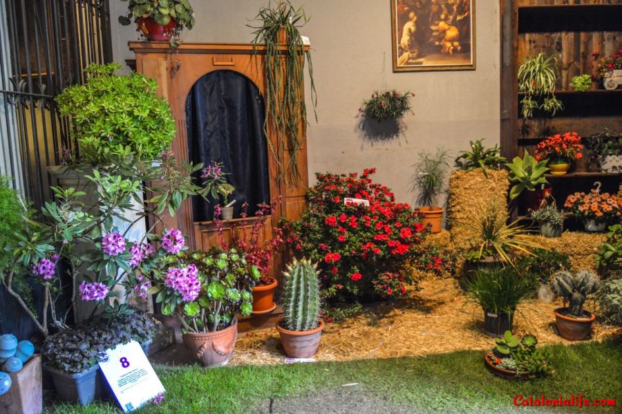 Фестиваль цветов в Жироне "Temps de Flors 2018"