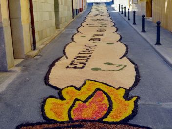 Фестиваль «Ковры из цветов» в Бланесе 2015 г. (Estores de Flors de Raval. Blanes 2015)