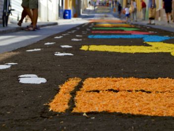 Фестиваль «Ковры из цветов» в Бланесе 2015 г. (Estores de Flors de Raval. Blanes 2015) #1