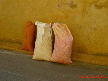 Фестиваль «Ковры из цветов» в Бланесе 2015 г. (Estores de Flors de Raval. Blanes 2015) #1