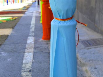 Фестиваль «Ковры из цветов» в Бланесе 2015 г. (Estores de Flors de Raval. Blanes 2015)