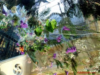 GIRONA Temps de Flors «Время Цветов/Фестиваль Цветов»