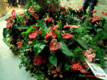GIRONA Temps de Flors «Время Цветов/Фестиваль Цветов»