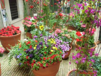GIRONA Temps de Flors «Время Цветов/Фестиваль Цветов»