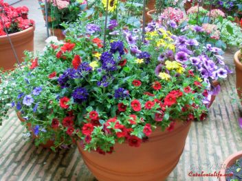 GIRONA Temps de Flors «Время Цветов/Фестиваль Цветов»
