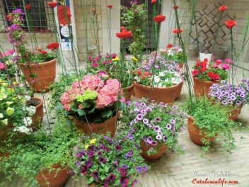 GIRONA Temps de Flors «Время Цветов/Фестиваль Цветов»