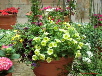 GIRONA Temps de Flors «Время Цветов/Фестиваль Цветов»