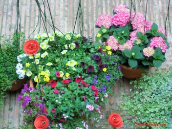 GIRONA Temps de Flors «Время Цветов/Фестиваль Цветов»