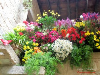 GIRONA Temps de Flors «Время Цветов/Фестиваль Цветов»