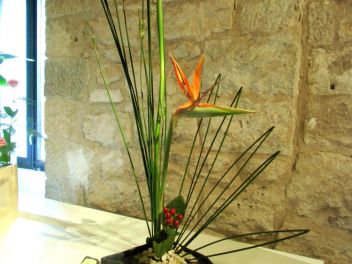 GIRONA Temps de Flors «Время Цветов/Фестиваль Цветов»