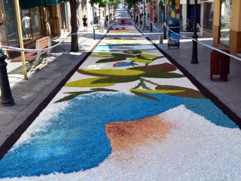 Ковры из цветов в Бланесе,Estores de Flors de Raval en Blanes, CATIFES DE FLORS NATURALS a Blanes 