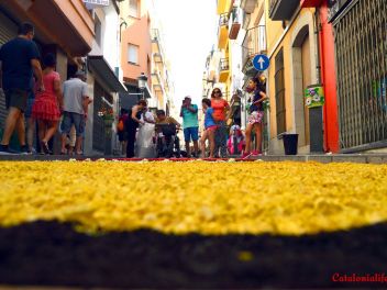 Ковры из цветов в Бланесе,Estores de Flors de Raval en Blanes, CATIFES DE FLORS NATURALS a Blanes 