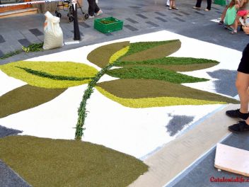 Ковры из цветов в Бланесе,Estores de Flors de Raval en Blanes, CATIFES DE FLORS NATURALS a Blanes 