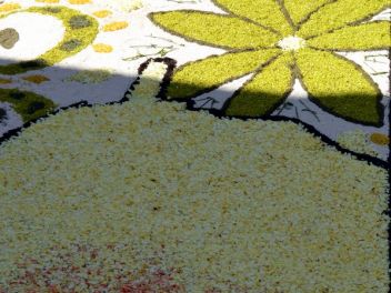 Ковры из цветов в Бланесе,Estores de Flors de Raval en Blanes, CATIFES DE FLORS NATURALS a Blanes 