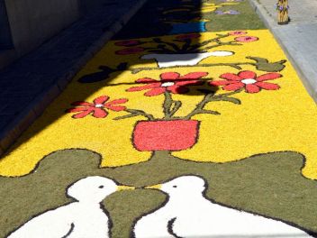 Ковры из цветов в Бланесе,Estores de Flors de Raval en Blanes, CATIFES DE FLORS NATURALS a Blanes 