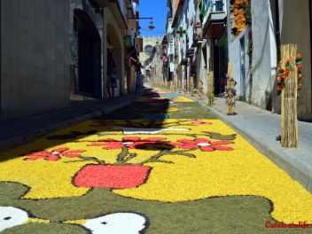 Ковры из цветов в Бланесе,Estores de Flors de Raval en Blanes, CATIFES DE FLORS NATURALS a Blanes 