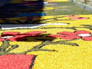 Ковры из цветов в Бланесе,Estores de Flors de Raval en Blanes, CATIFES DE FLORS NATURALS a Blanes 