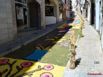 Ковры из цветов в Бланесе,Estores de Flors de Raval en Blanes, CATIFES DE FLORS NATURALS a Blanes 