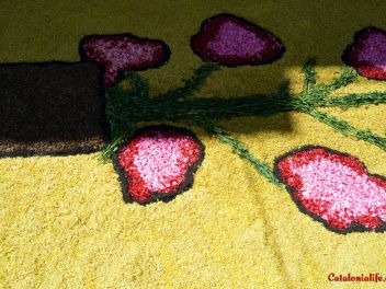 Ковры из цветов в Бланесе,Estores de Flors de Raval en Blanes, CATIFES DE FLORS NATURALS a Blanes 