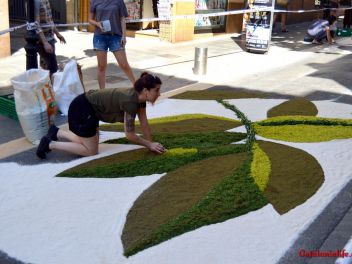 Ковры из цветов в Бланесе,Estores de Flors de Raval en Blanes, CATIFES DE FLORS NATURALS a Blanes 