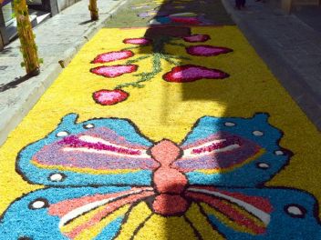 Ковры из цветов в Бланесе,Estores de Flors de Raval en Blanes, CATIFES DE FLORS NATURALS a Blanes 