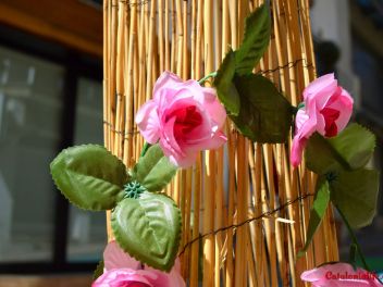 Ковры из цветов в Бланесе,Estores de Flors de Raval en Blanes, CATIFES DE FLORS NATURALS a Blanes 