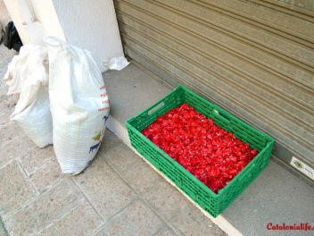 Ковры из цветов в Бланесе,Estores de Flors de Raval en Blanes, CATIFES DE FLORS NATURALS a Blanes 