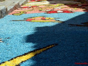 Ковры из цветов в Бланесе,Estores de Flors de Raval en Blanes, CATIFES DE FLORS NATURALS a Blanes 