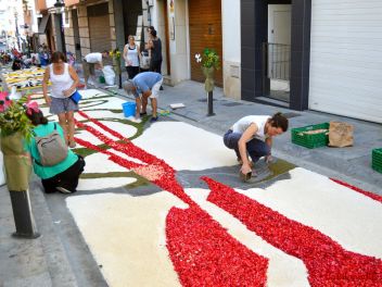 Ковры из цветов в Бланесе,Estores de Flors de Raval en Blanes, CATIFES DE FLORS NATURALS a Blanes 