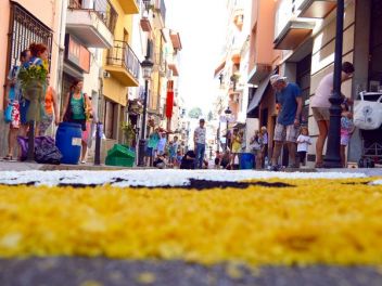 Ковры из цветов в Бланесе,Estores de Flors de Raval en Blanes, CATIFES DE FLORS NATURALS a Blanes 