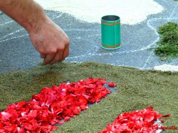 Ковры из цветов в Бланесе,Estores de Flors de Raval en Blanes, CATIFES DE FLORS NATURALS a Blanes 