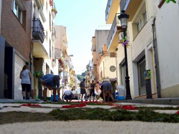 Ковры из цветов в Бланесе,Estores de Flors de Raval en Blanes, CATIFES DE FLORS NATURALS a Blanes 