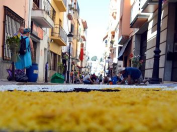 Ковры из цветов в Бланесе,Estores de Flors de Raval en Blanes, CATIFES DE FLORS NATURALS a Blanes 